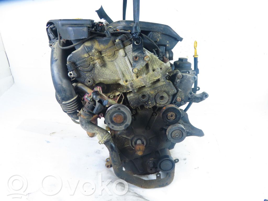 Engine   204D2,204D2