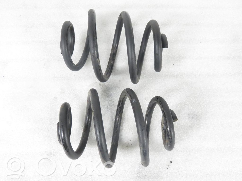 Rear coil spring