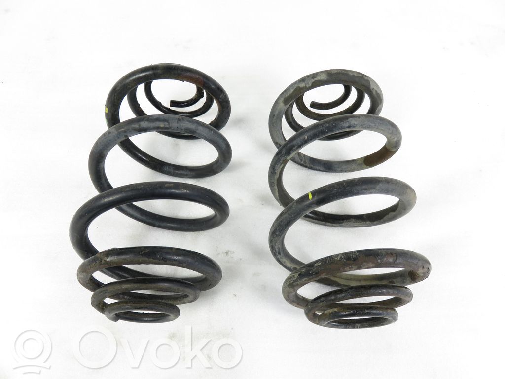 Rear coil spring
