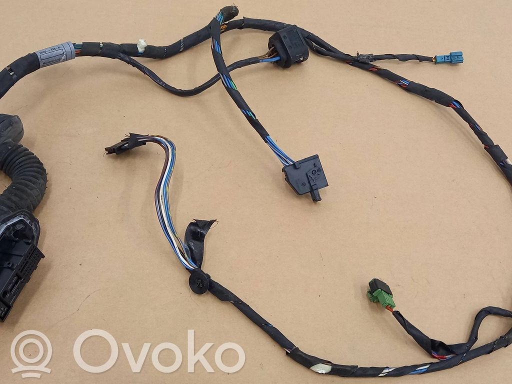 Cableado de puerta delantera   6986976,10055910,1V701170