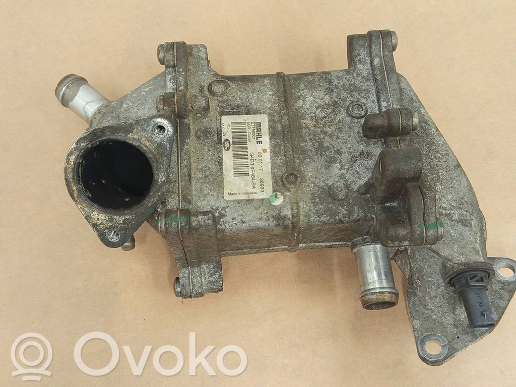 Land Rover Discovery Sport EGR-venttiili/lauhdutin 