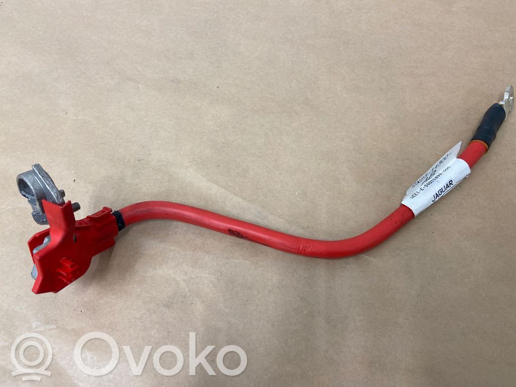 Jaguar XF X250 Cable positivo (batería) 
