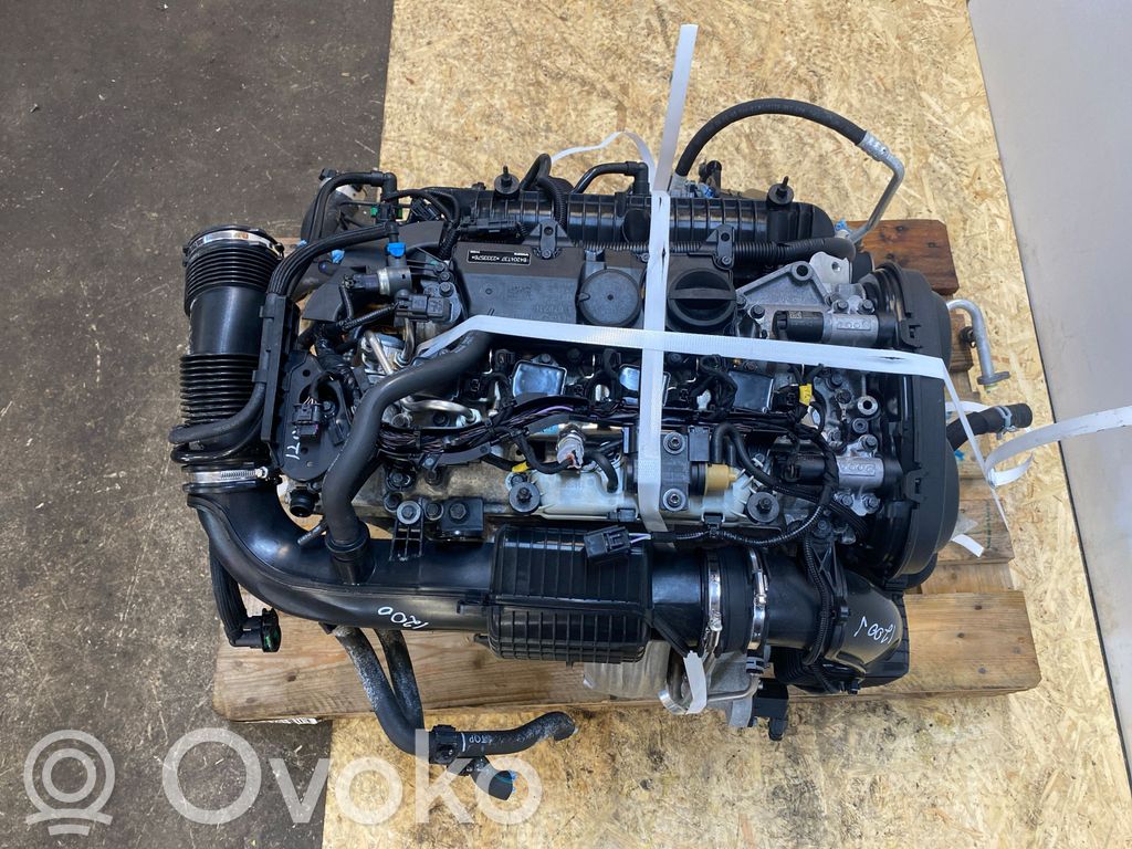 Variklis   B4204T37,02399,17491,1826007,1AAAA,1KJKKK,2333576,31368087AB10,31430768,31430769AA05,6720,743102399,743160033