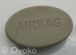 Saab 9-3 Ver2 Kita salono detalė 