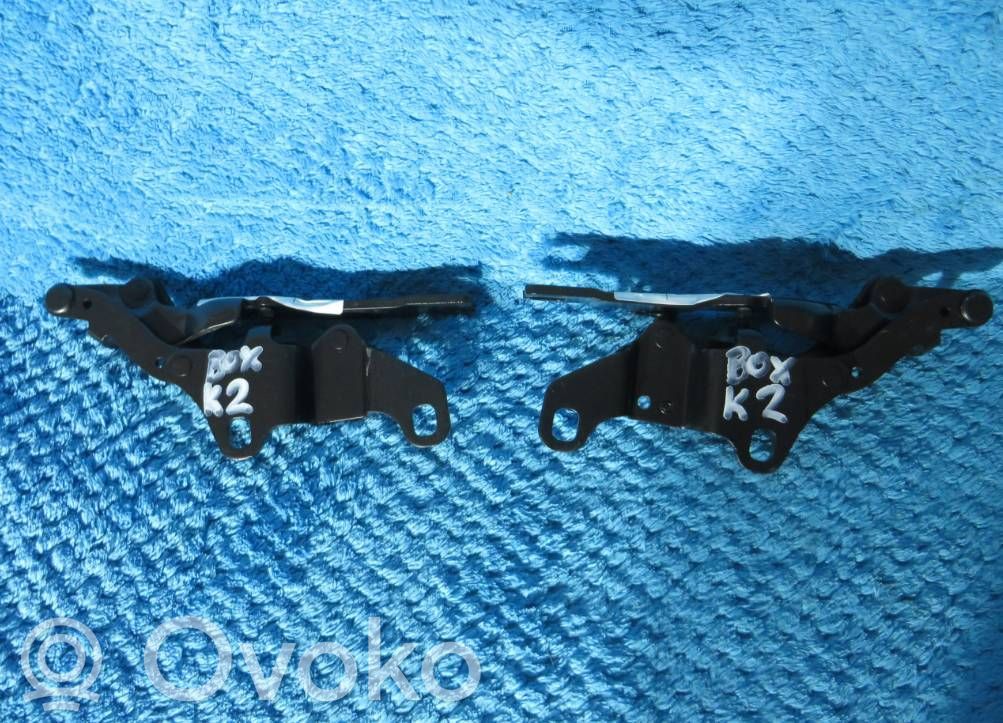 Bisagras del capó/tapa del motor   7210678,7210677,41617210677,41617210678