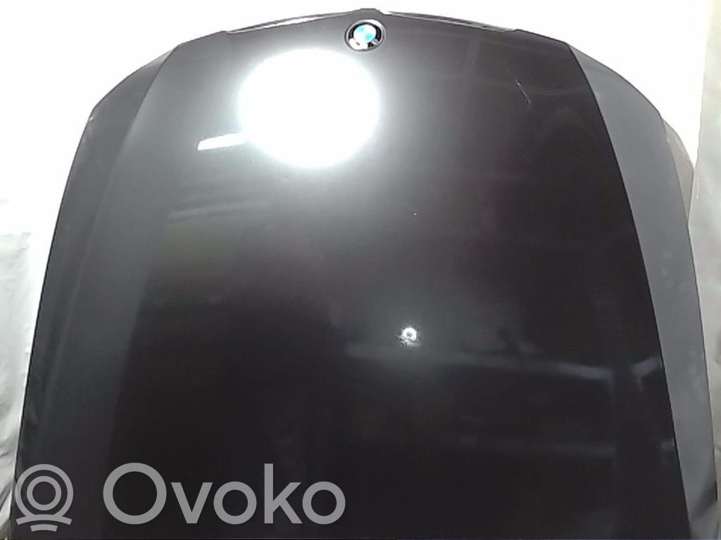 Dzinēja pārsegs (vāks)   41617140729