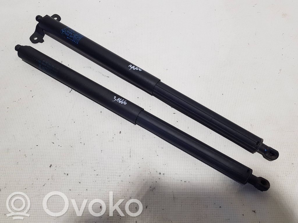 Siłownika klapy tylnej bagażnika   1647400345DE,A1647400345,1647400445