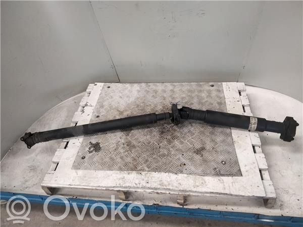 Eje de transmisión delantero   204D4