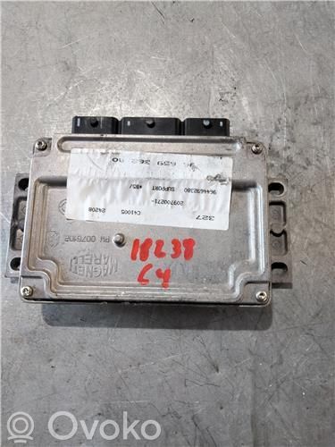 Engine control unit/module ECU   9664339980
