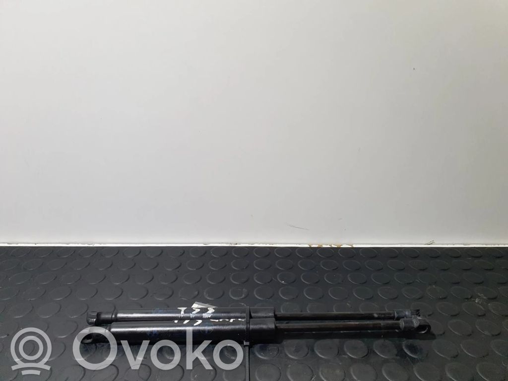 Dzinēja pārsega amortizators   E46FK