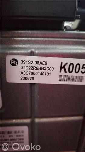 Engine control unit/module   391S208AE0