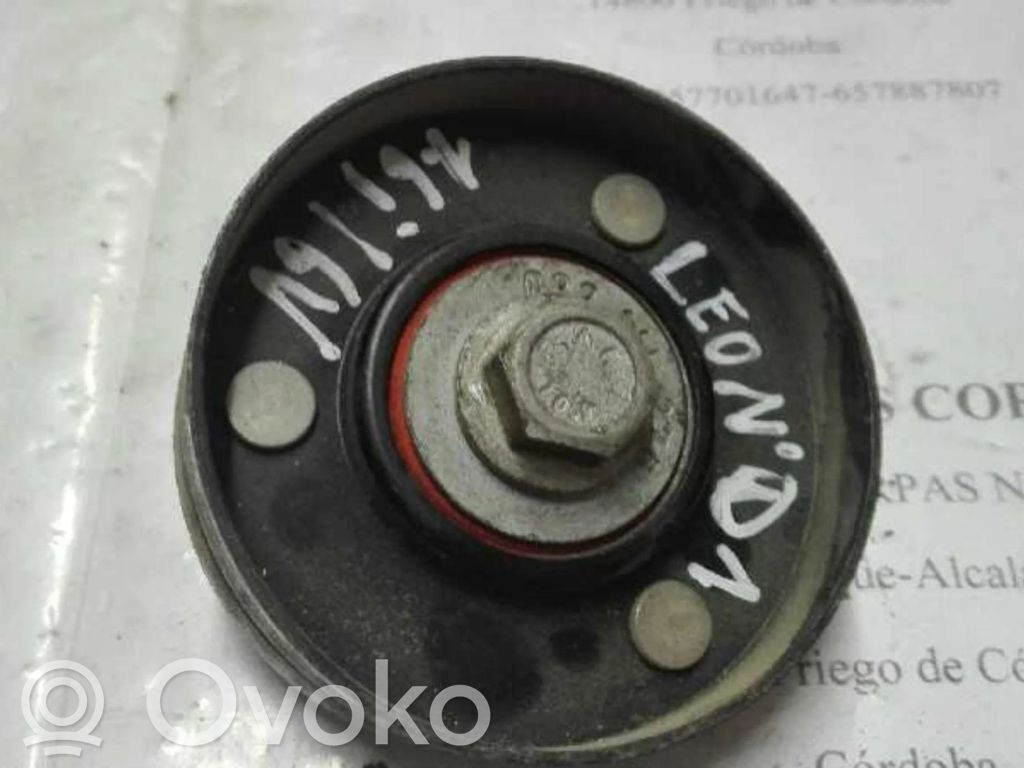 Seat Leon (1M) Tendicinghia generatore/alternatore 