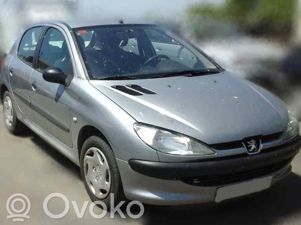 Peugeot 206 Priekinis pusašis 