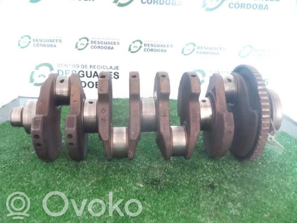 Kampiakseli   028R