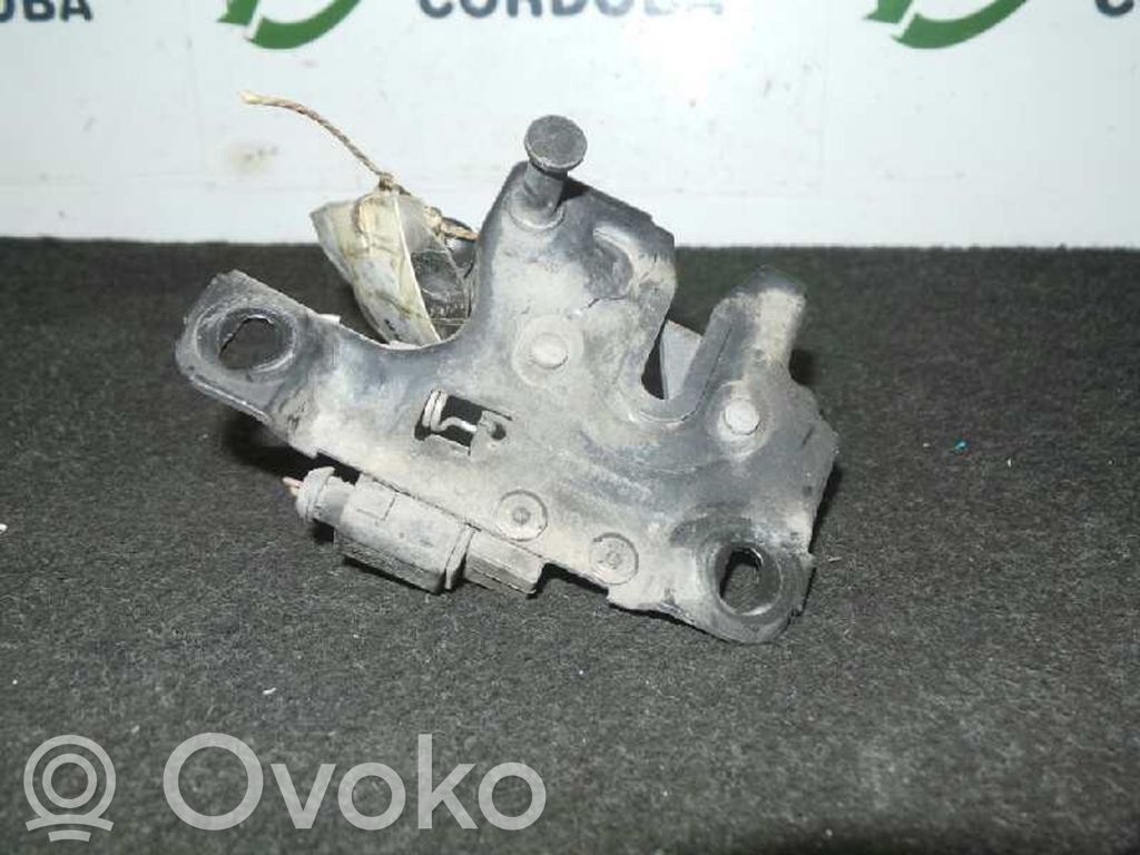 Tie down hook / loop   8L0823509C