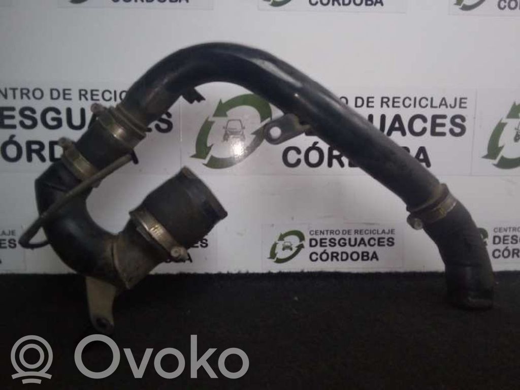 Coolant pipe/hose