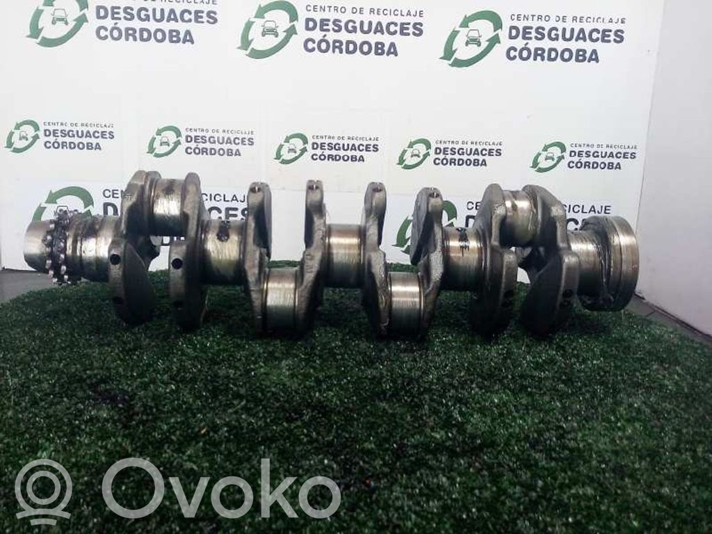 Ford Focus Crankshaft 