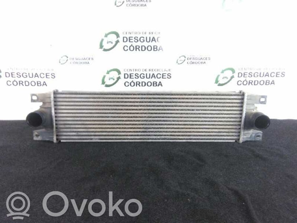 Interkūlerio radiatorius   867658FIA1074,680X187X40
