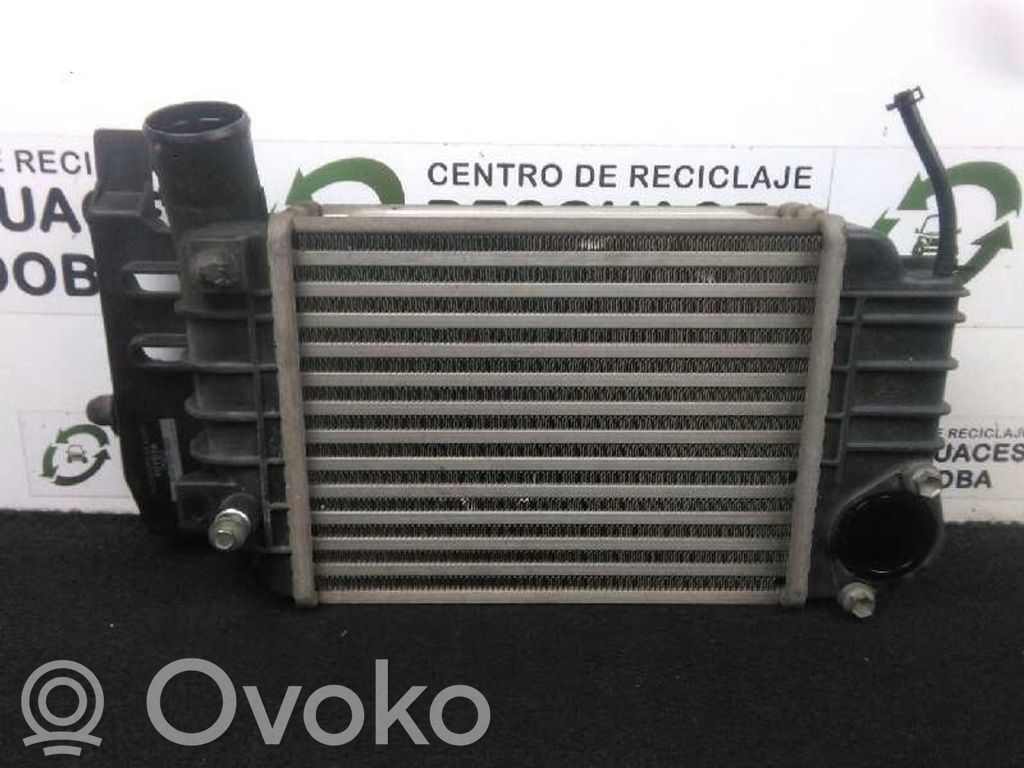 Intercooler radiator   JD1270000620,250X207X64