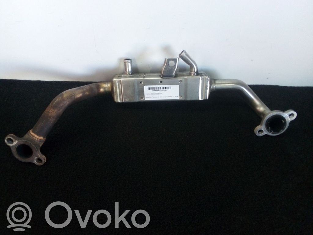 EGR valve