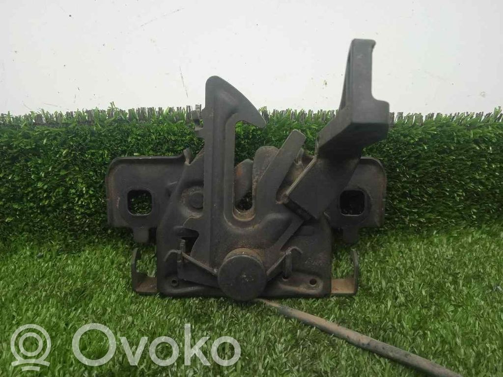 Tie down hook / loop   656013486R,2PINES