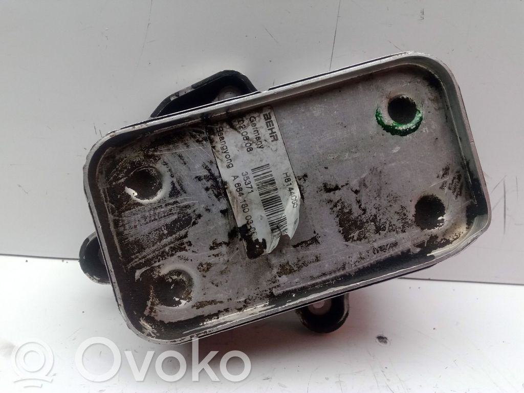 SsangYong Kyron Chłodnica oleju 