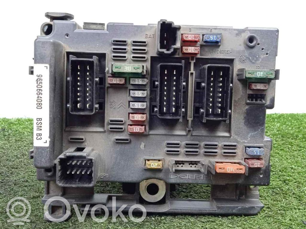 Other control units/modules   BSMB3,DELPHI