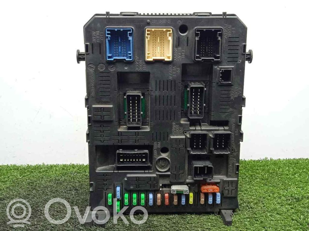 Other control units/modules   BSI