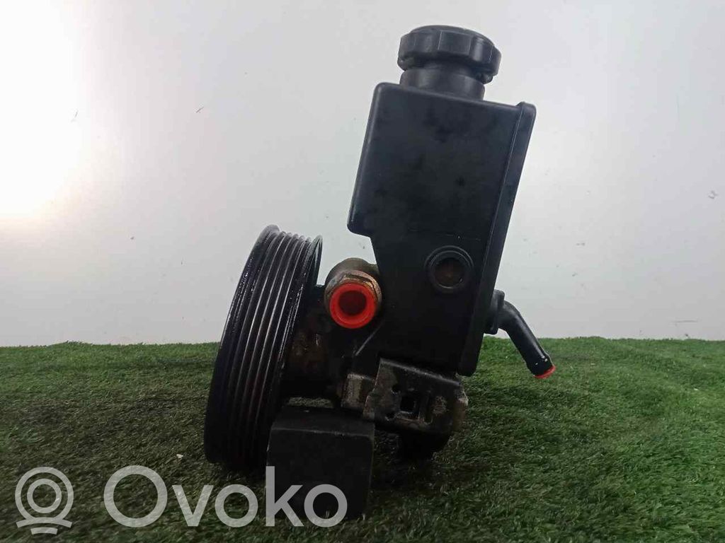 Power steering pump   NS6540647