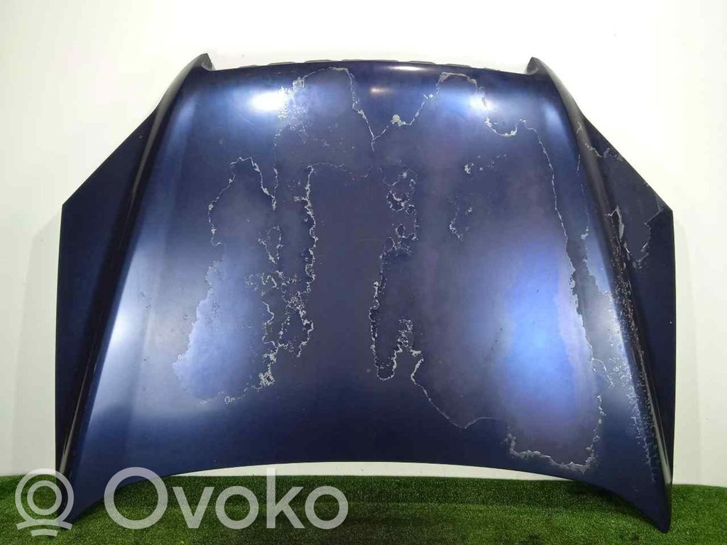Dzinēja pārsegs (vāks)   96861600,0711,AZUL