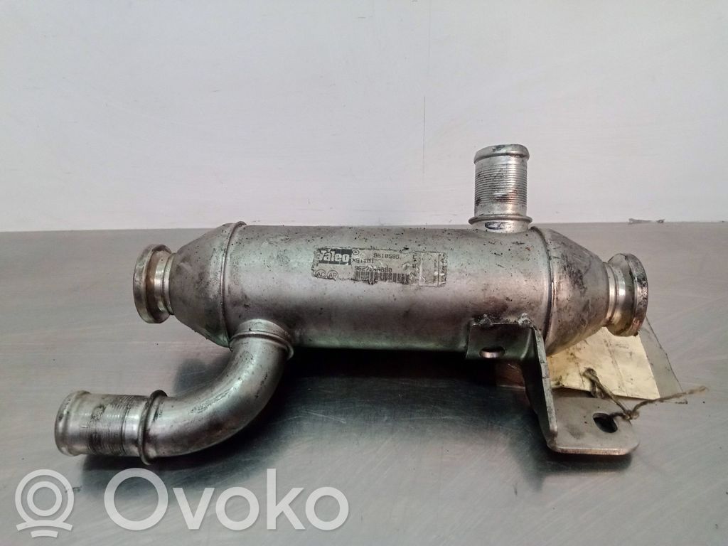 Zawór EGR   861059G9627242880