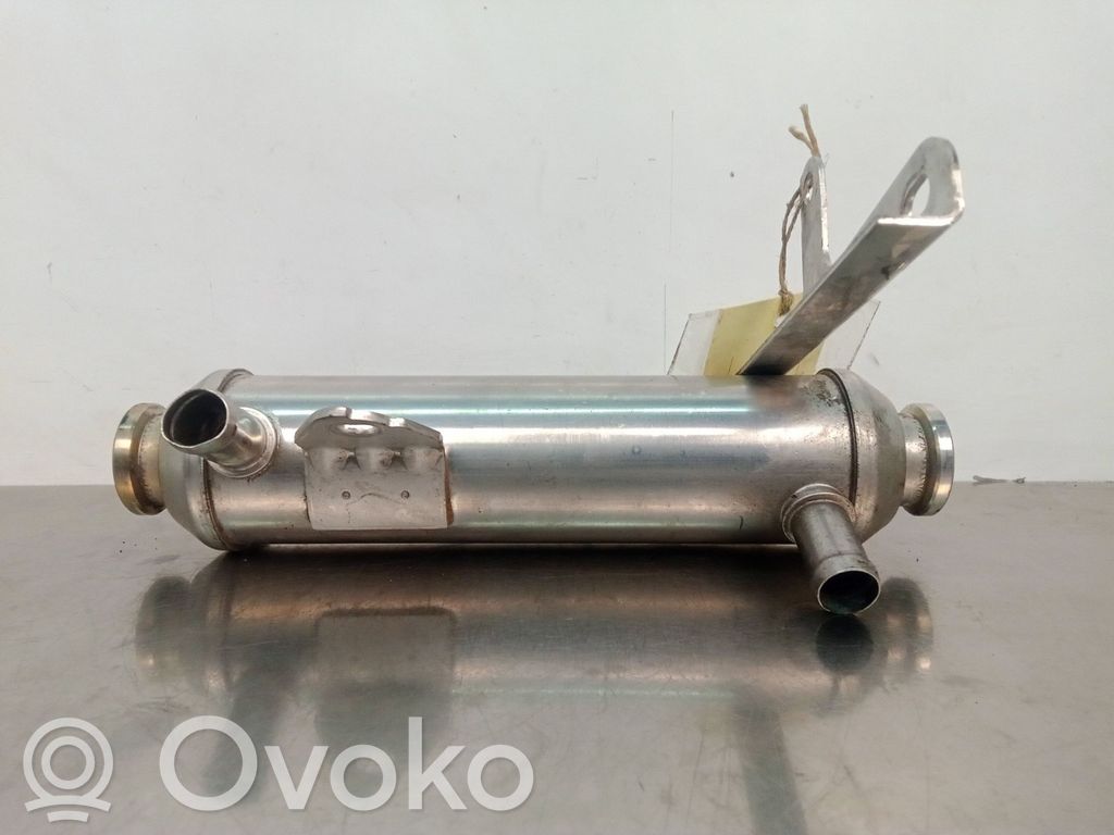 Válvula EGR   55182589
