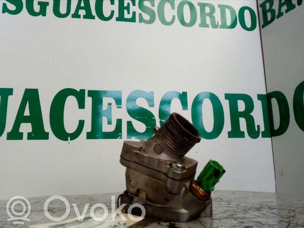 Termostato   860690C16D
