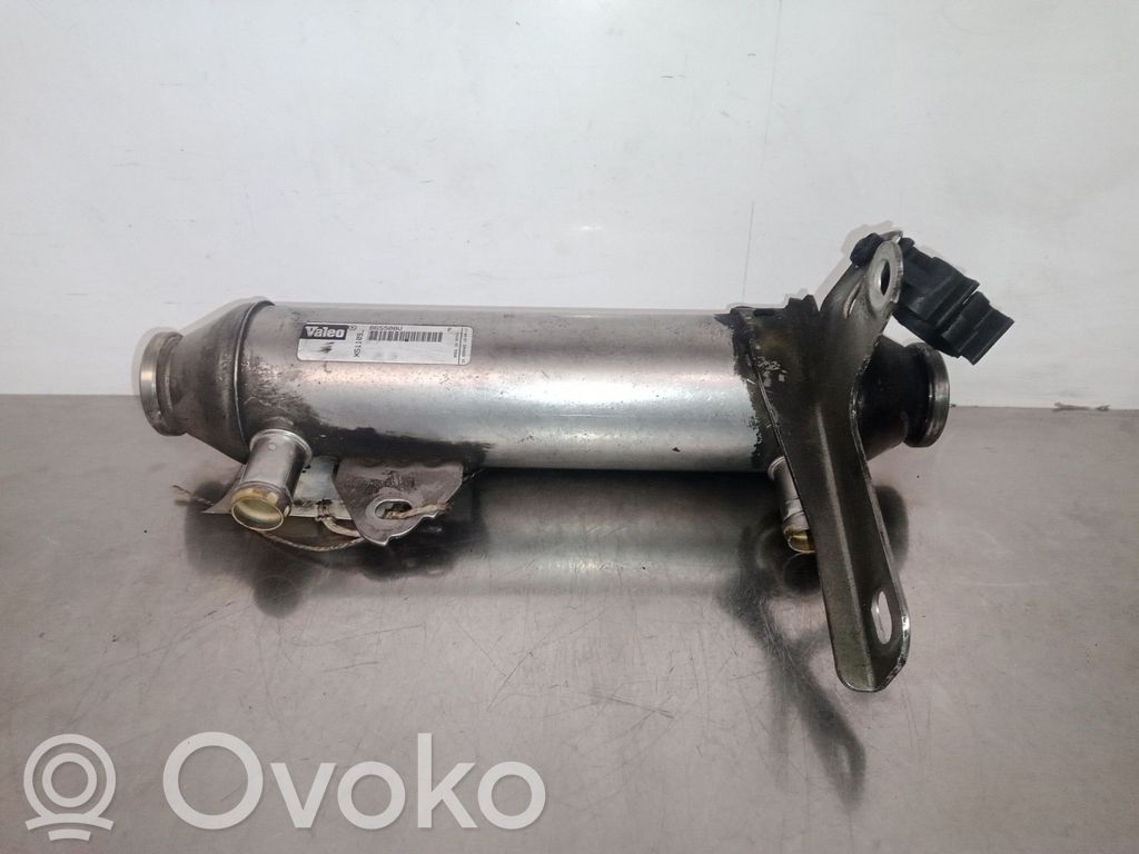 Valvola EGR