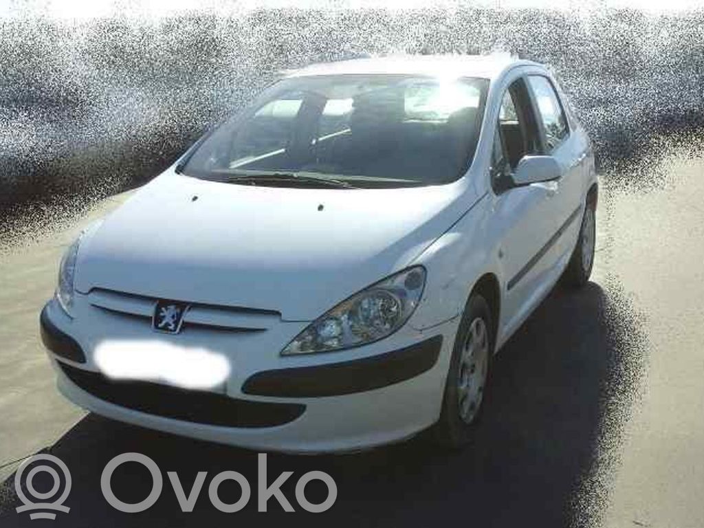 Peugeot 307 Planetară față 