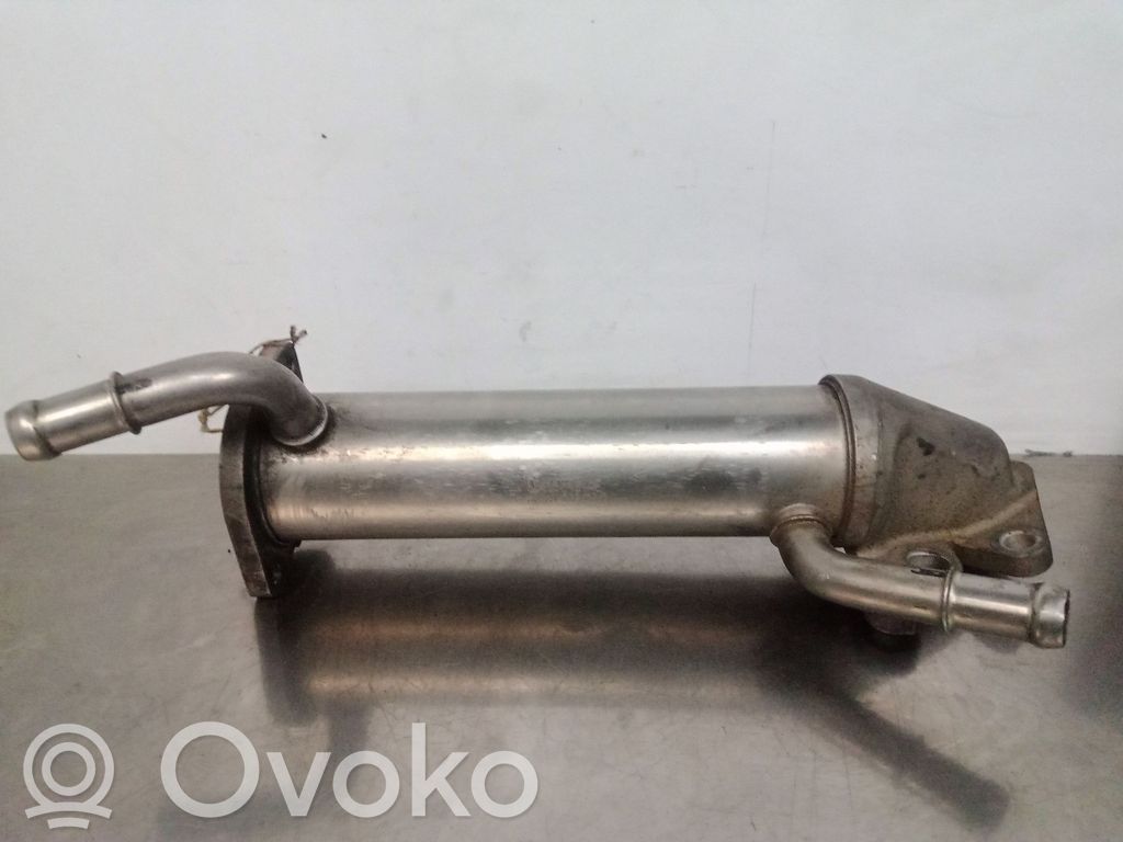 Ford Transit Valvola EGR 