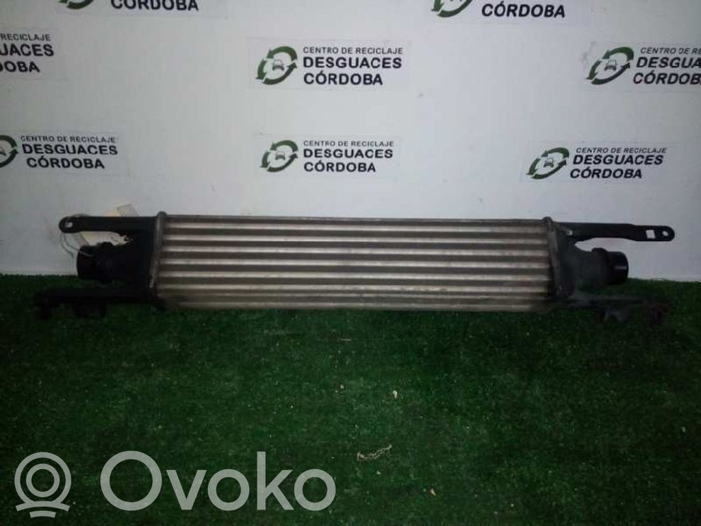 Intercooler radiator   440926702,470X100X55
