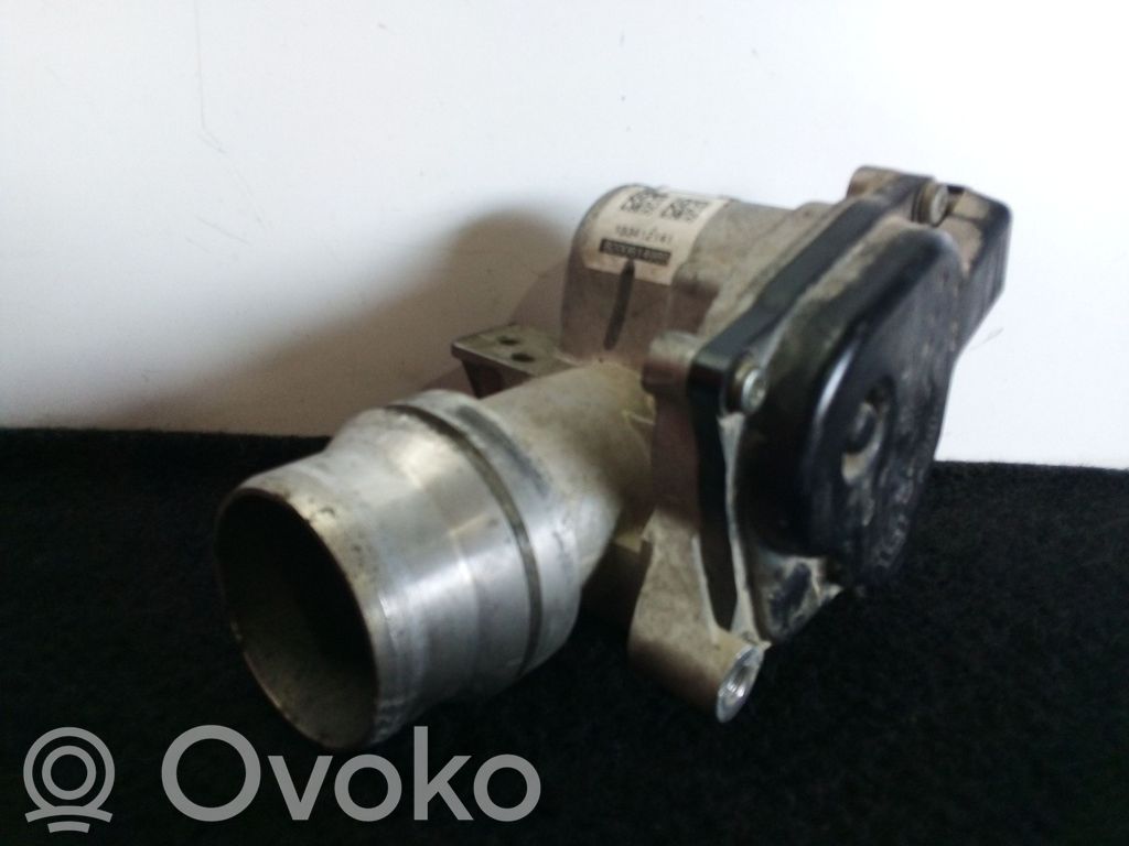 Throttle body valve