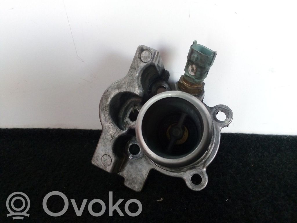 Termostato   504013931