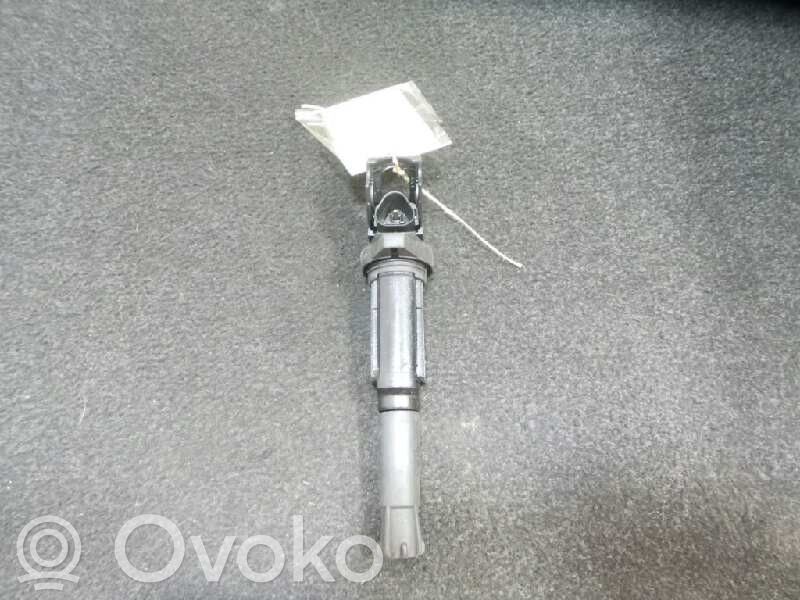 Zündspule Zündmodul   0040100324,BERU