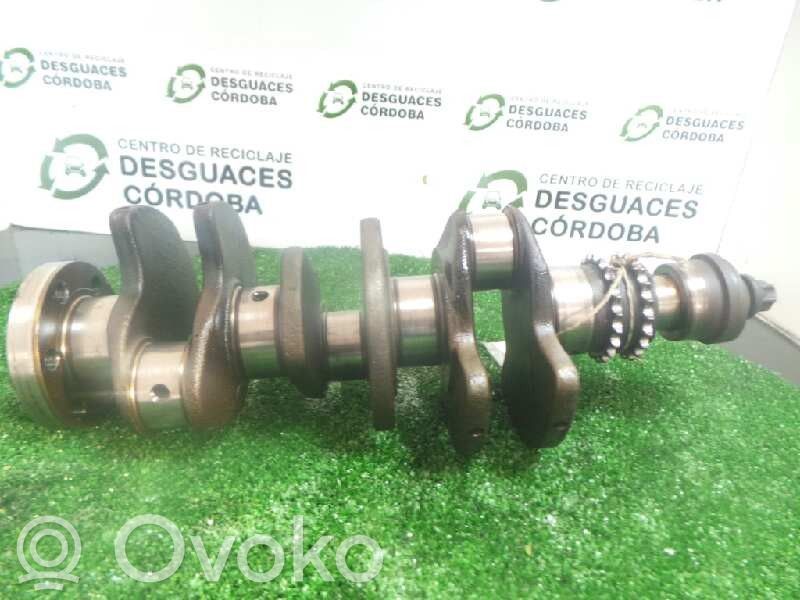Kampiakseli   R1600001