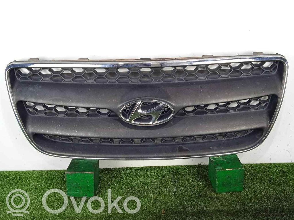 Front grill   865602B010