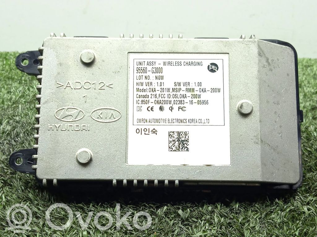 Other control units/modules   95560G3000
