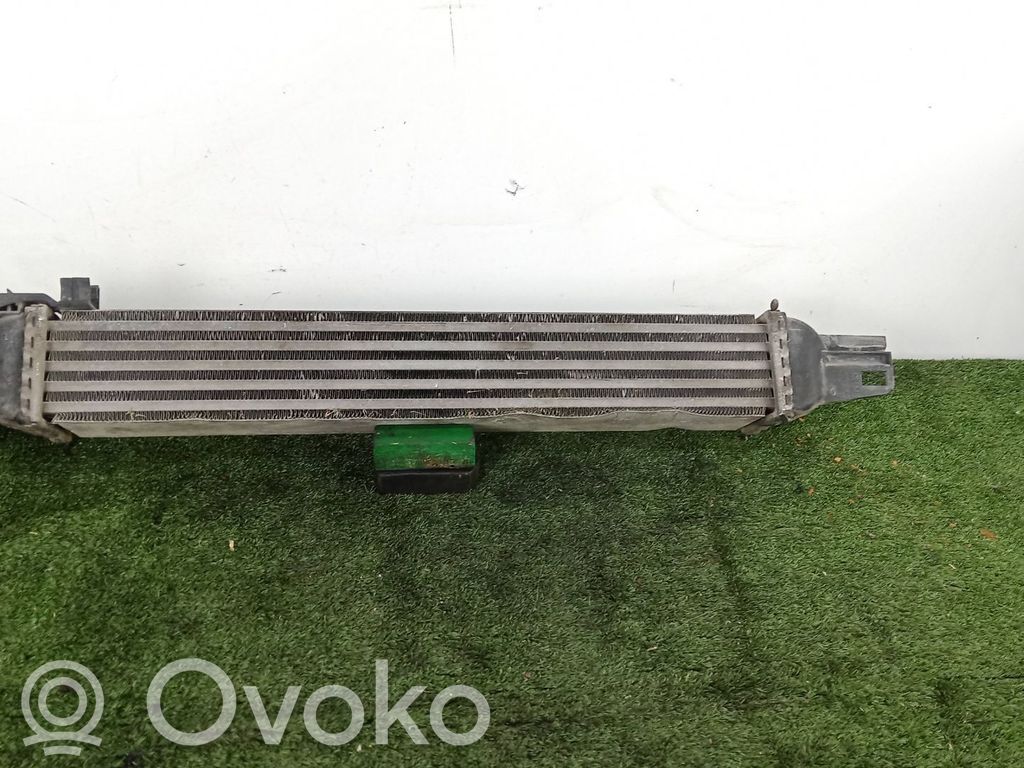 Radiador intercooler   L8119001C860,BEHR,L540X82X64