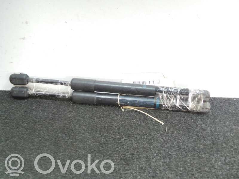Tailgate/trunk strut/damper   4F5827552B