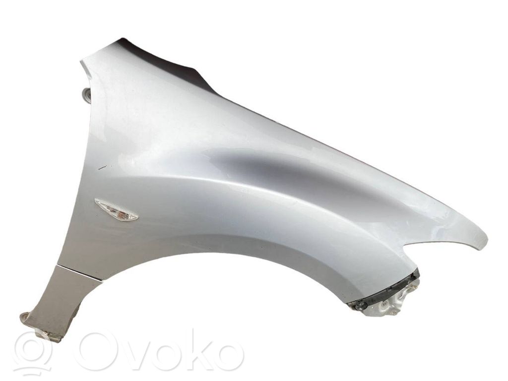 Kotflügel   GS1D500T1,GS1D56391