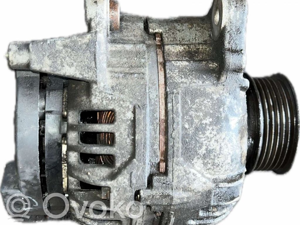 Alternator   0124315021