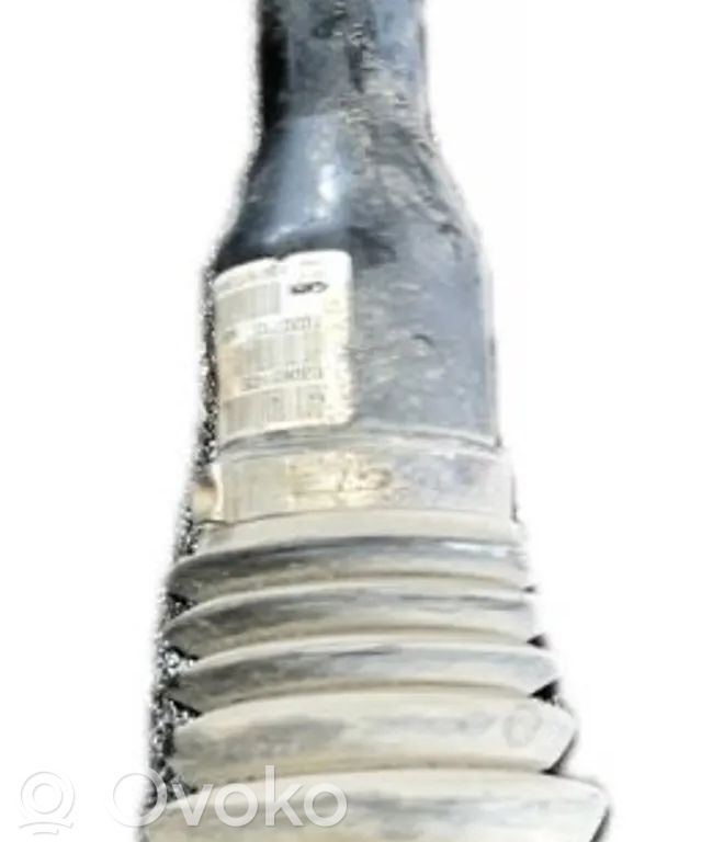 Priekšējā pusass   30651435