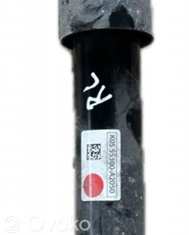 Stoßdämpfer hinten   55300A2050