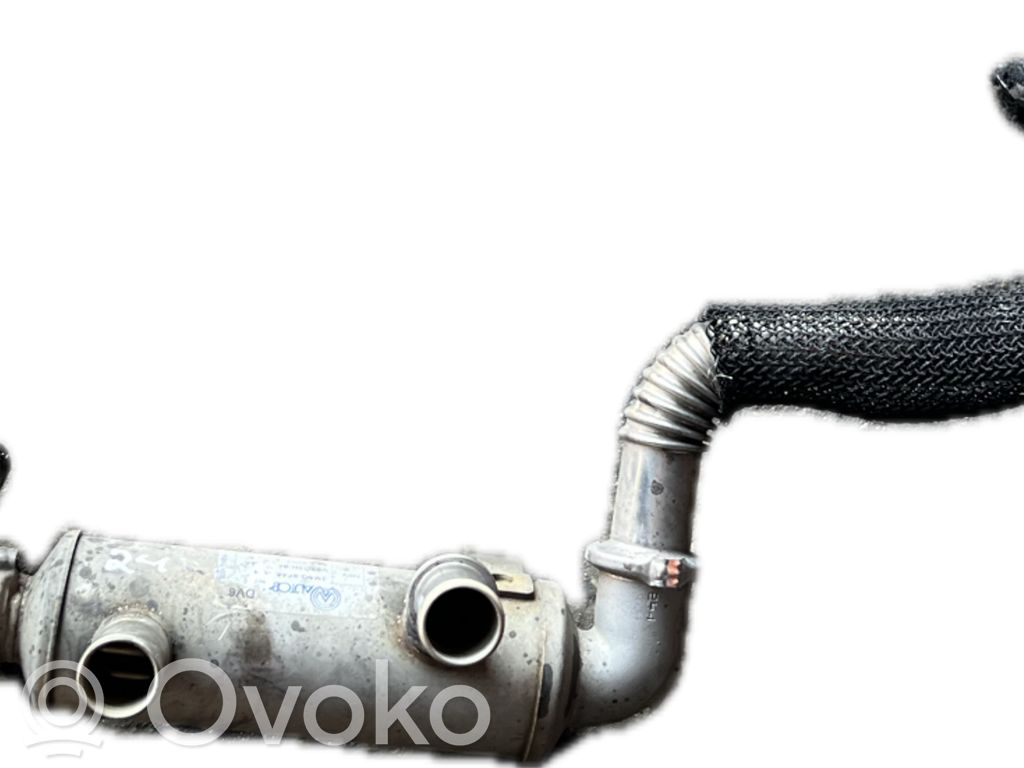 Ford Focus Válvula EGR 